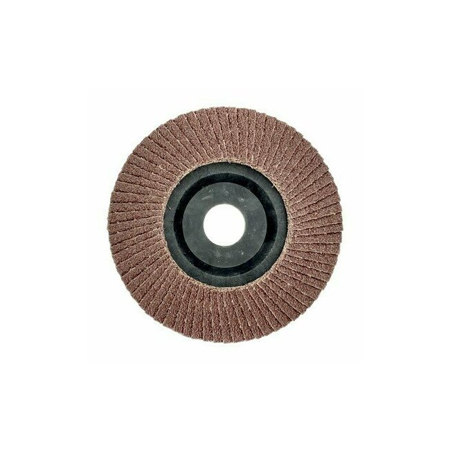 Disque à lamelles plat corindon D 125 mm support plastique 