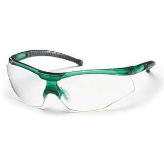 Lunette de protection Breva Lunette de protection Breva